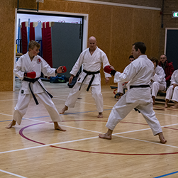 dokan karate proefles