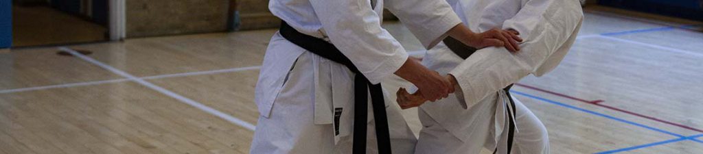 karate dokan handen