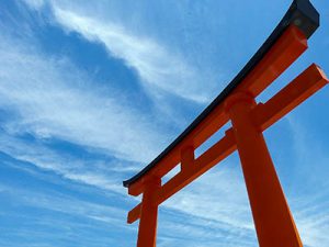 karate dokan torii