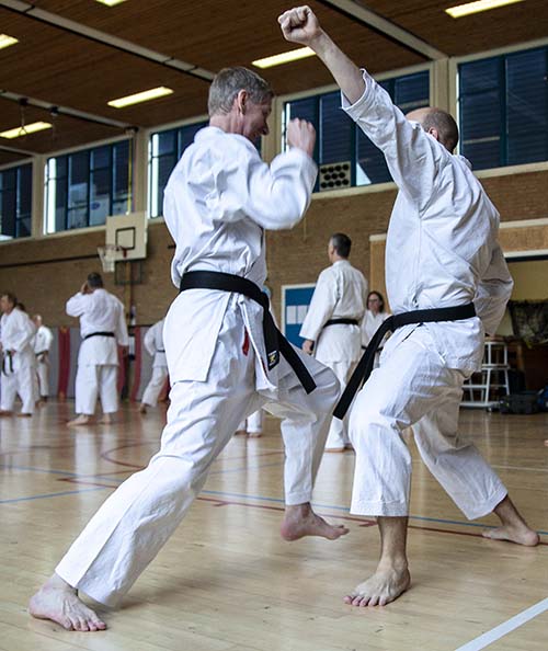 dokan karate avg