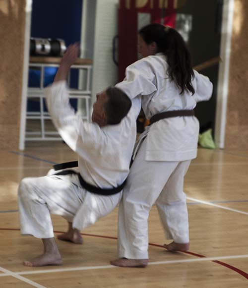 dokan karate avg