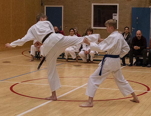 dokan karate avg