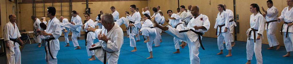 dokan karate danexamens world shotokan ryu