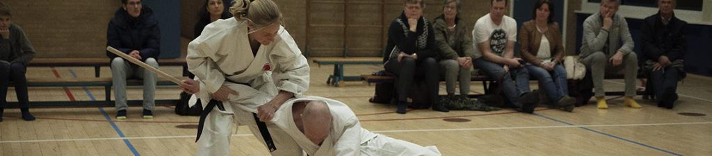 dokan karate examen demonstratie