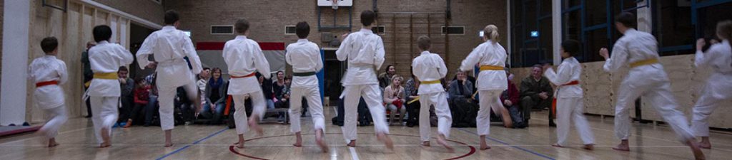 dokan karate examens jeugd