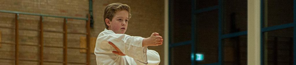 dokan karate kinderen