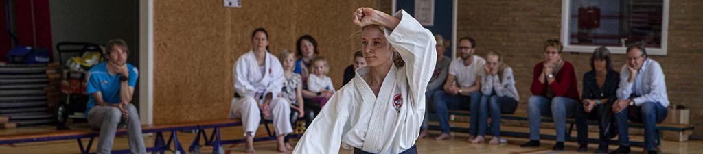 dokan karate lotte woitiez