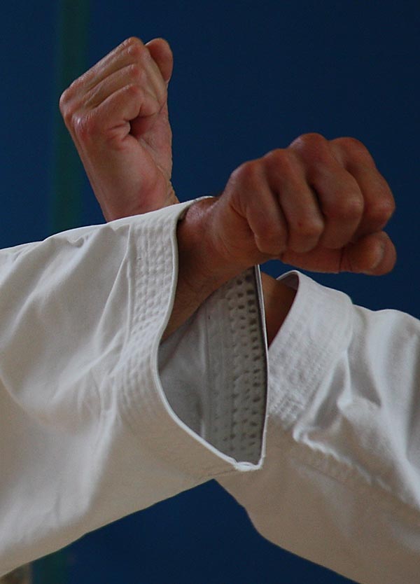 dokan karate vuisten