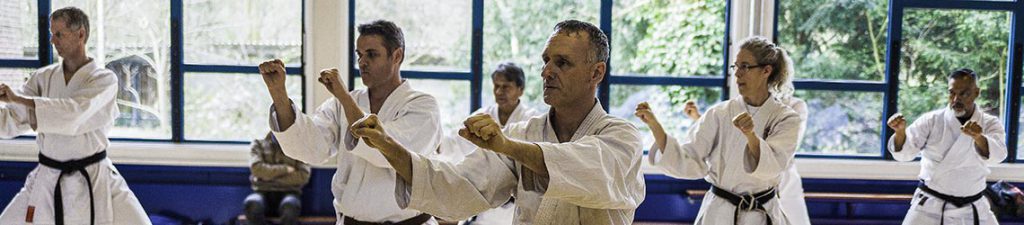 dokan karate sjaak van rijn karateles