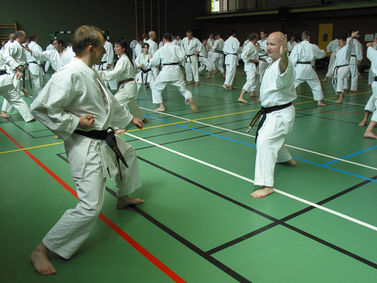 karate dokan andre brockbern sensei jean-pierre niemond