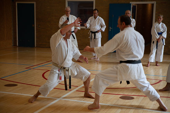 karate dokan pascal lecourt sensei