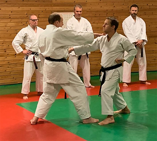 dokan karate andre brockbernd sensei