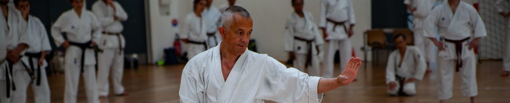 dokan karate nieuws pascal lecourt wijnegen belgie