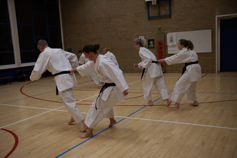 karate dokan ronald van der haak