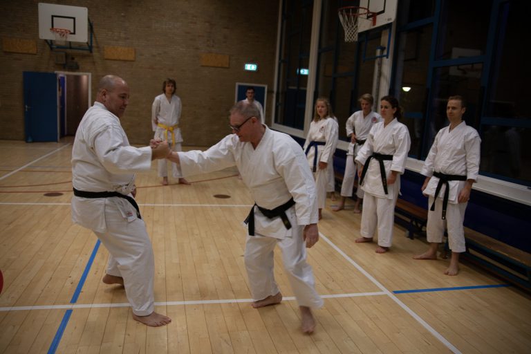 karate dokan ronald van der haak