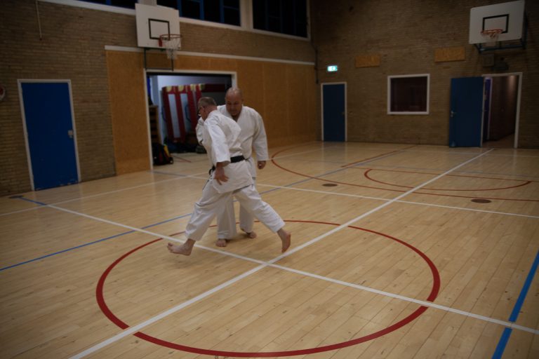 karate dokan ronald van der haak