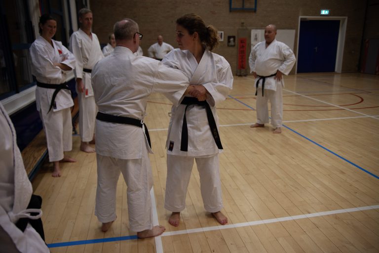 karate dokan ronald van der haak