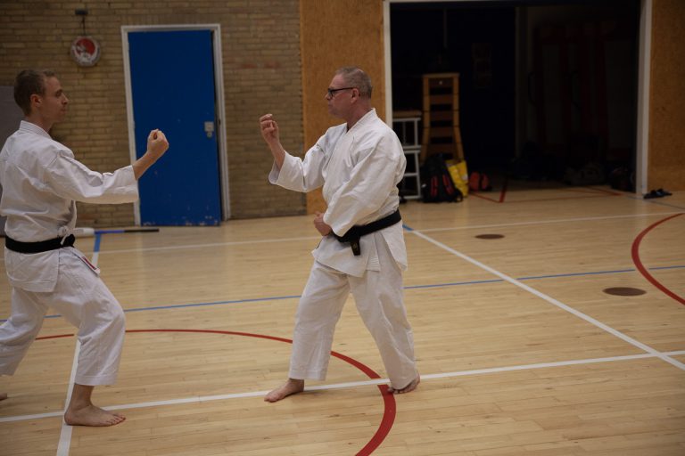 karate dokan ronald van der haak