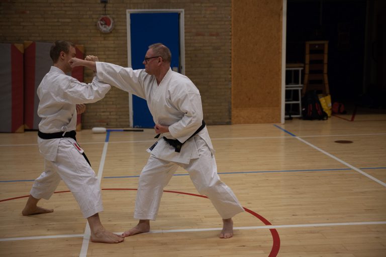 karate dokan ronald van der haak