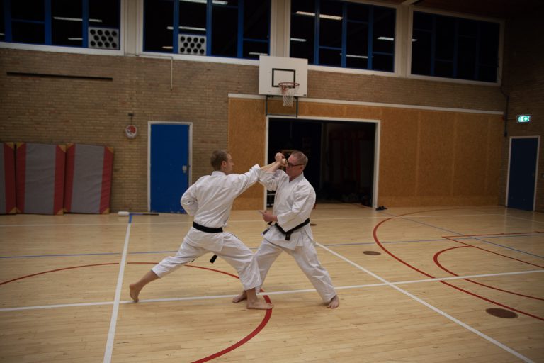 karate dokan ronald van der haak