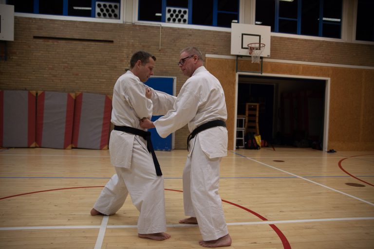 karate dokan ronald van der haak