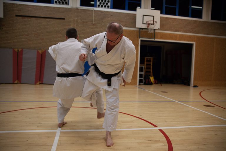 karate dokan ronald van der haak