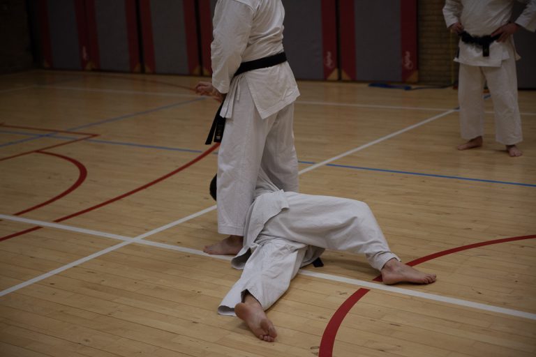 karate dokan ronald van der haak