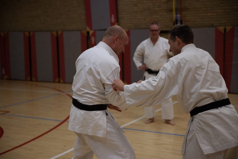 karate dokan ronald van der haak