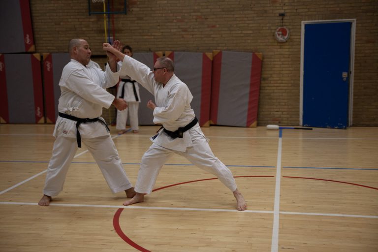 karate dokan ronald van der haak