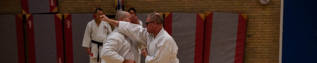 karate dokan ronald van der haak