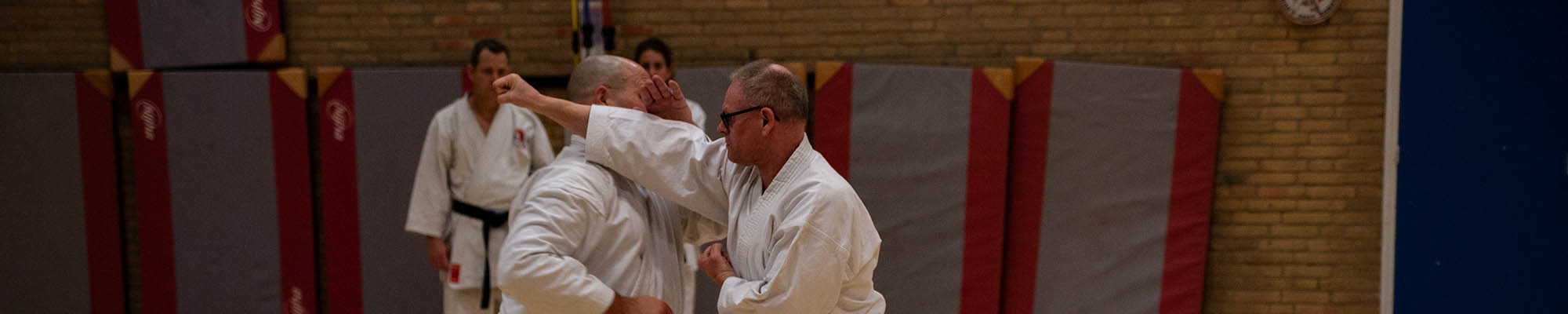 karate dokan ronald van der haak