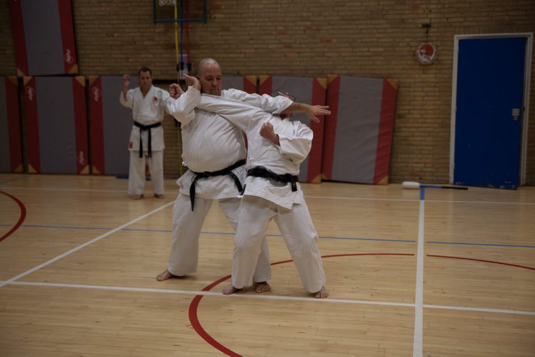 karate dokan ronald van der haak