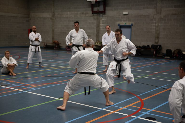 karate dokan pascal lecourt