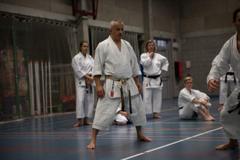 karate dokan pascal lecourt