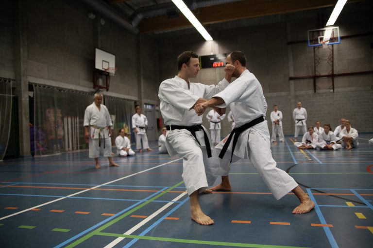 karate dokan pascal lecourt