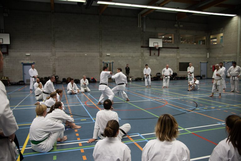 karate dokan pascal lecourt