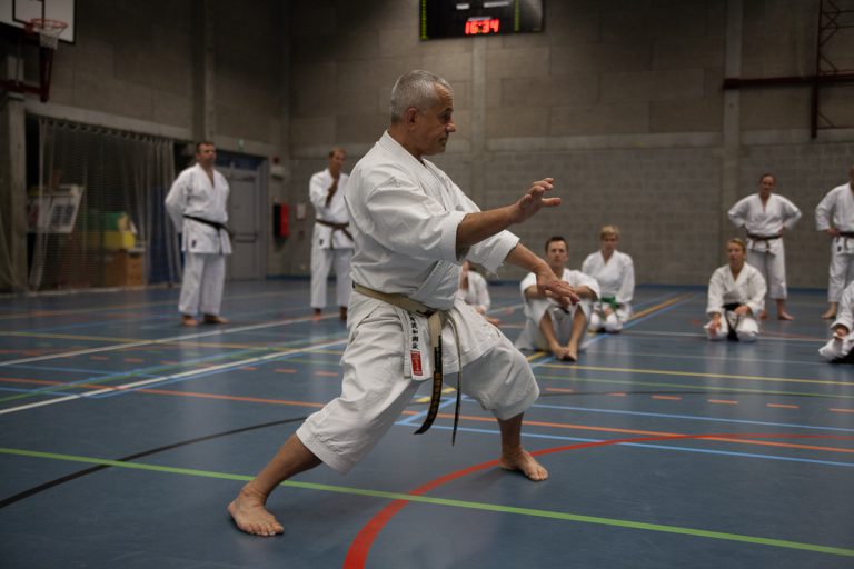 karate dokan pascal lecourt