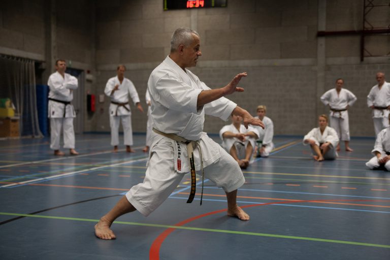 karate dokan pascal lecourt