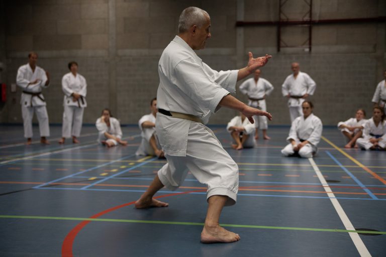 karate dokan pascal lecourt