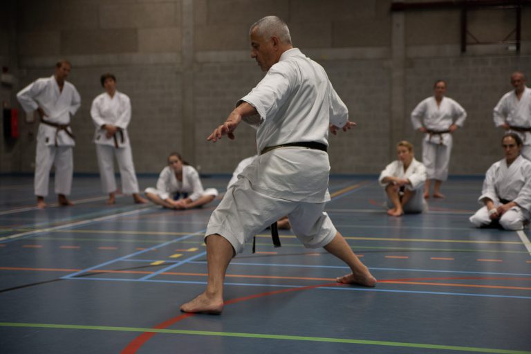 karate dokan pascal lecourt