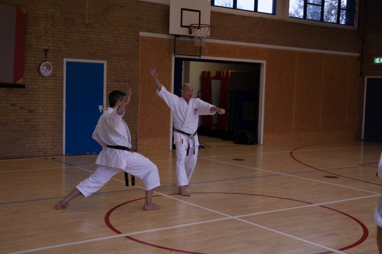 karate dokan stage jaap smaal