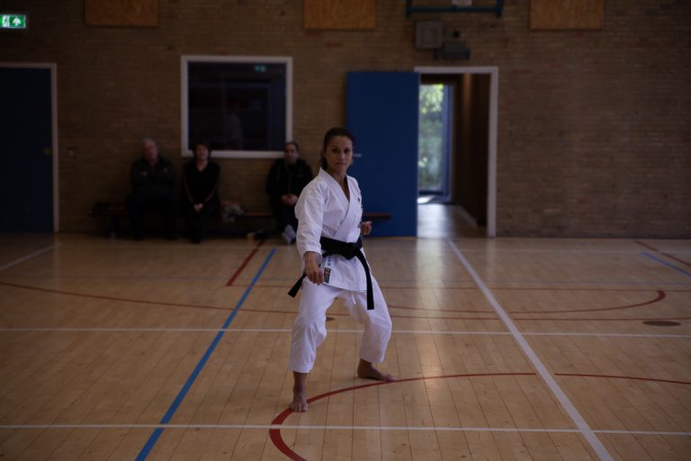 karate dokan stage jaap smaal