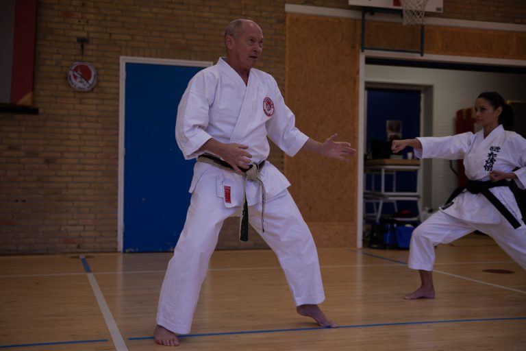 karate dokan stage jaap smaal