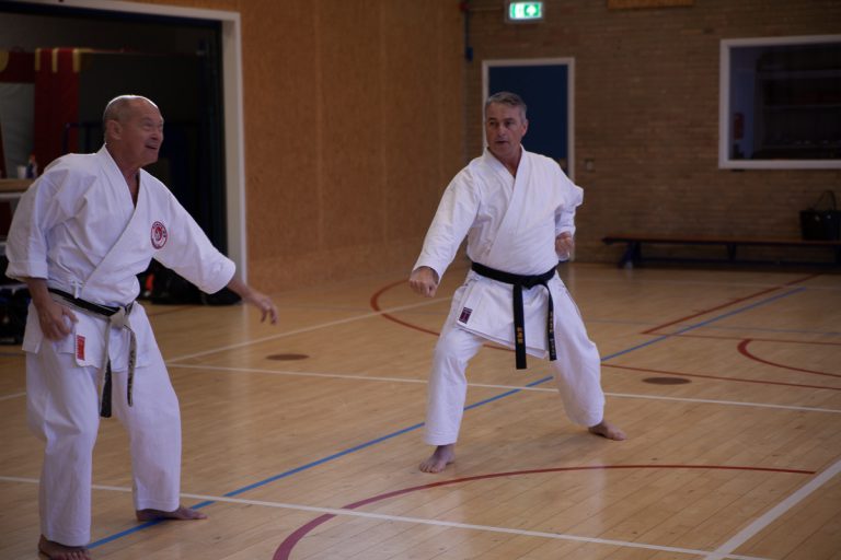 karate dokan stage jaap smaal