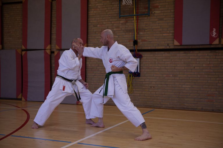 karate dokan stage jaap smaal