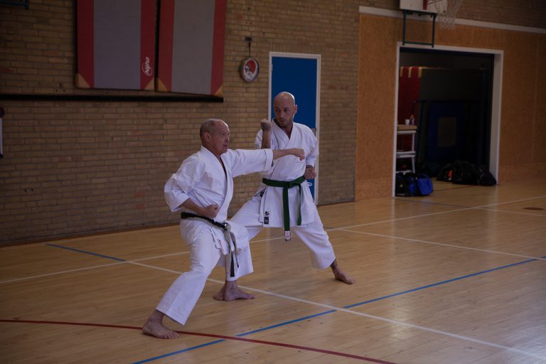 karate dokan stage jaap smaal