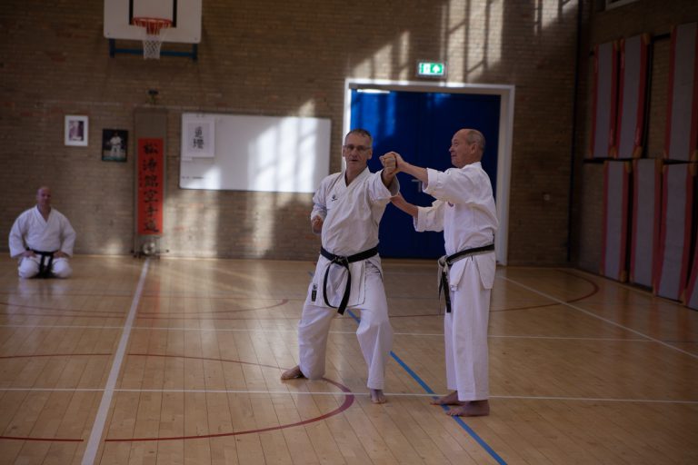 karate dokan stage jaap smaal