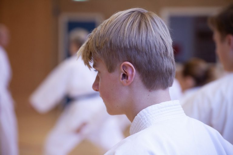 karate dokan stage jaap smaal