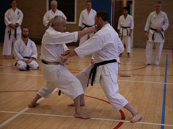 dokan karate pascal lecourt