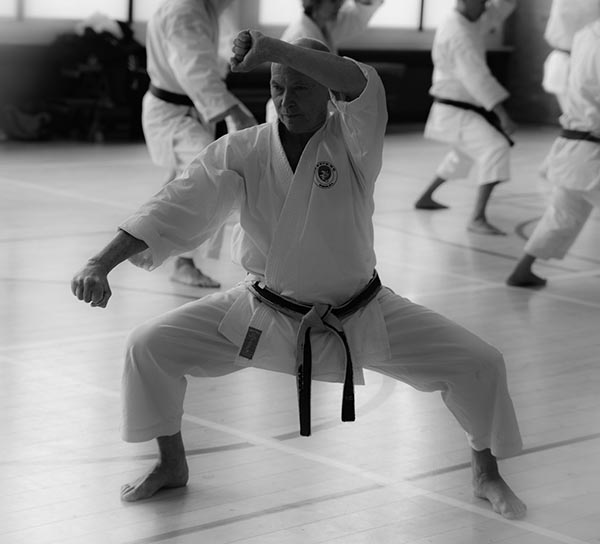 dokan karate stage jaap smaal